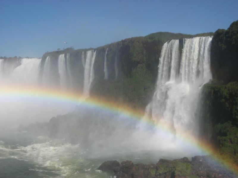 386_8620_Img.JPG