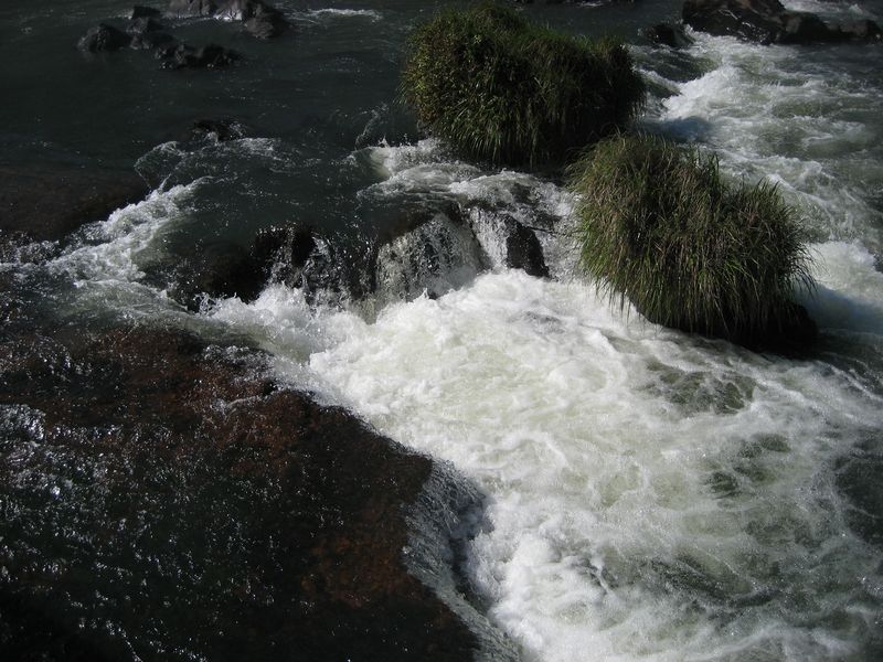 386_8627_Img.JPG
