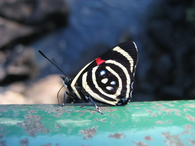 386_8638_Img.JPG