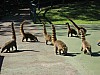 385_8593_Img.JPG 385_8593_Img.JPG