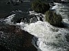 386_8627_Img.JPG 386_8627_Img.JPG