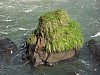 386_8644_Img.JPG 386_8644_Img.JPG