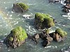 386_8651_Img.JPG 386_8651_Img.JPG