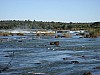 386_8666_Img.JPG 386_8666_Img.JPG
